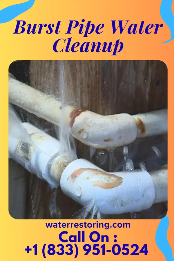 Burst Pipe Water Cleanup in Dayton Lakes, TX