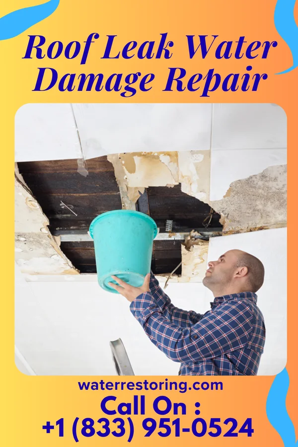 Roof Leak Water Damage Repair in Dayton Lakes, TX