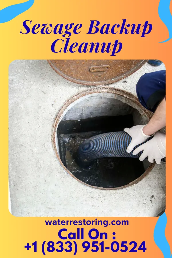 Sewage Backup Cleanup in Dayton Lakes, TX